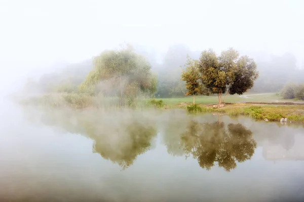Árbol Solitario Orilla Del Río Niebla Misterioso Paisaje Otoñal Con — Foto de Stock