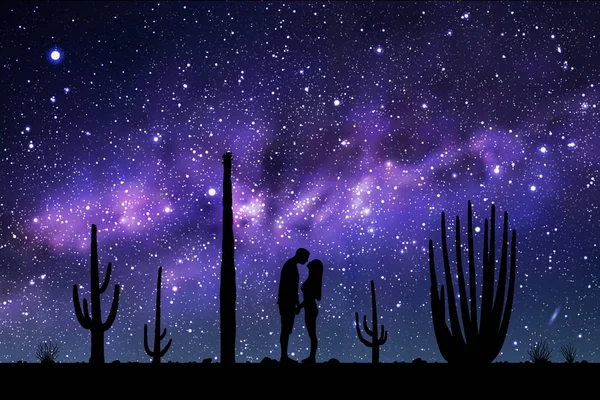 Lovers Cactuses Park Night Vector Illustration Silhouette Loving Couple Landscape — Stock Vector