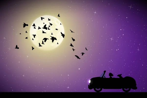 Cartoon retro samochód i focks ptaków na księżycowej nocy — Wektor stockowy