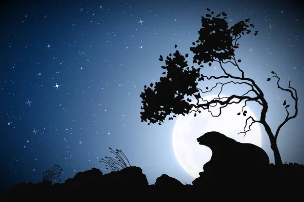 Bär Liegt Der Mondscheinnacht Unter Baum Naturlandschaft Mit Wilden Tieren — Stockvektor
