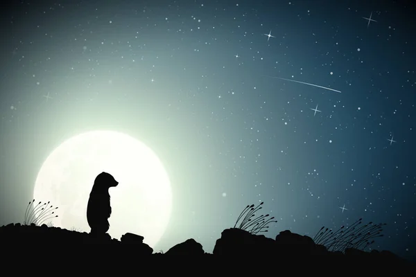 Samotny Miś Spadająca Gwiazda Księżycową Noc Sylwetka Zwierzęcia Skalistej Ziemi — Wektor stockowy