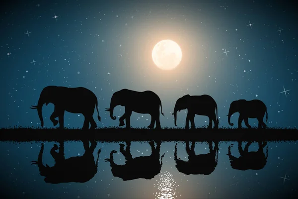 象の家族月明かりの夜に川の銀行を歩く サバンナの大きな動物のシルエットの風景 星空の満月 ポリグラフィック テキスタイル デザイン 装飾に使用するためのベクトルイラスト — ストックベクタ