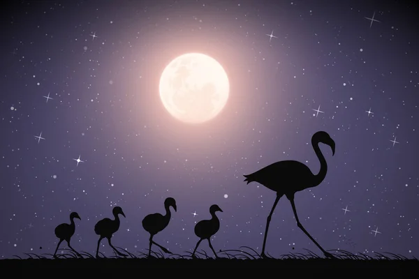 フラミンゴの家族は月明かりの夜に草の中を歩く 星空の下で鳥の母親と子供のシルエットと満月と風景 ポリグラフィック テキスタイル デザイン 装飾に使用するためのベクトルイラスト — ストックベクタ