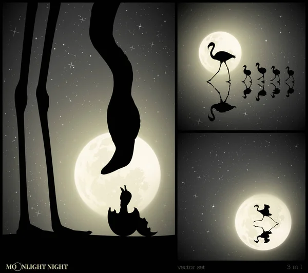 フラミンゴの母親と月夜の卵の新生児 孤独な鳥が湖を走っている 星空の下で動物の家族のシルエットと満月 白黒ベクトルイラストセット — ストックベクタ
