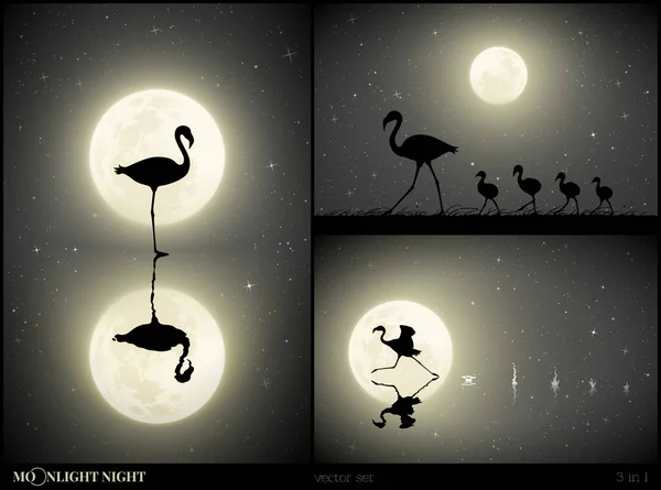 フラミンゴの家族の月明かりの夜に歩く エレガントな鳥のシルエットと水の上にスプラッシュ 湖に反映動物を実行しています 星空の満月 白黒ベクトルイラストセット — ストックベクタ