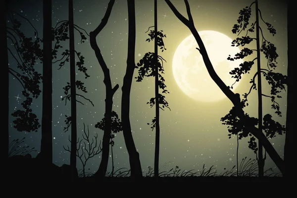 Paysage Avec Forêt Mixte Sur Nuit Clair Lune Marine Fond — Image vectorielle