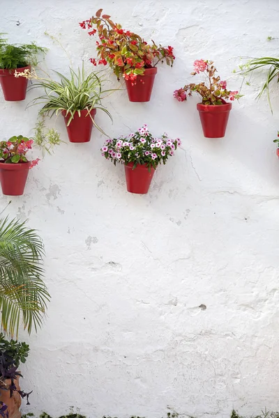 Белая стена с цветочными горшками — стоковое фото