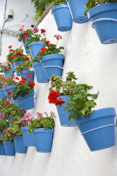 Mur blanc avec pots de fleurs — Photo