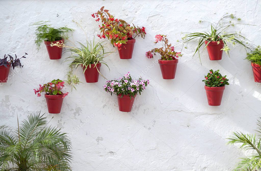 White wall with flower pots