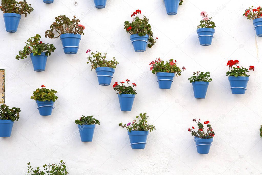 White wall with flower pots