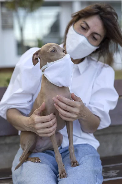 Woman Playing Italian Greyhound Dog Protective Mask Coronavirus Covid Concept — Stock Photo, Image