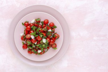 Taze soğanlı, naneli, zeytinyağlı ve tuzlu ev yapımı domates salatası. Vejetaryen yemeği. Sağlıklı gıda konsepti