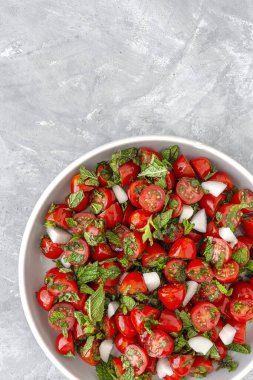 Taze soğanlı, naneli, zeytinyağlı ve tuzlu ev yapımı domates salatası. Vejetaryen yemeği. Sağlıklı gıda konsepti