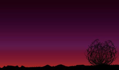 Bir Teksaslı çöl akşam sahne tumbleweed ile