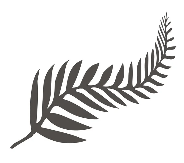 Силует Срібло Папороті Державний Герб Нової Зеландії Над Білим Тлом — стокове фото