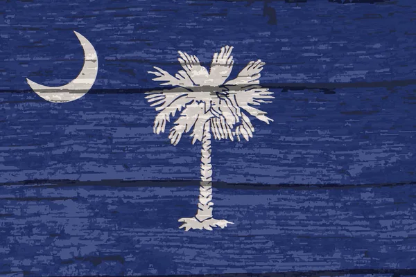美国南卡罗来纳州的国旗 木制底座 — 图库矢量图片