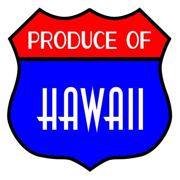 Havajská produkce — Stockový vektor
