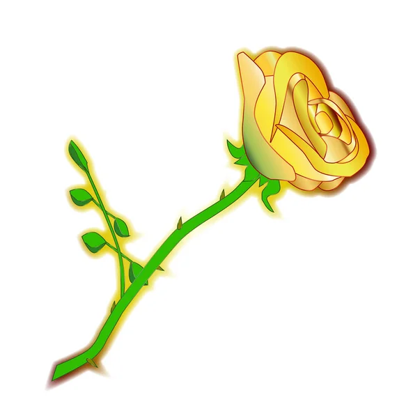 得克萨斯州的黄玫瑰 — 图库矢量图片
