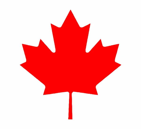 Canadese Maple Leaf van vlag — Stockvector