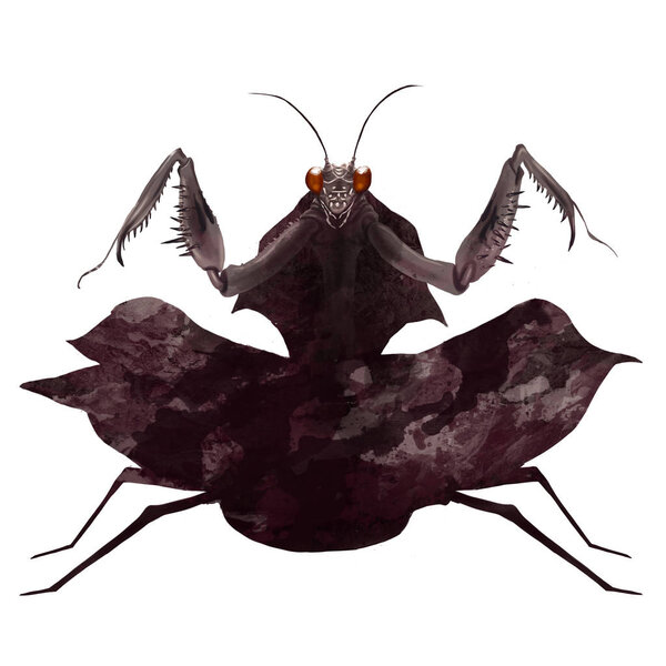 Цифровой рисунок / иллюстрация большого коричневого богомола, готового атаковать на изолированном белом фоне
