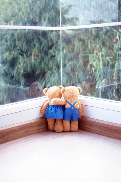 Amistad Relación Dos Osos Peluche Abrazan Mirando Vista Del Bambú — Foto de Stock