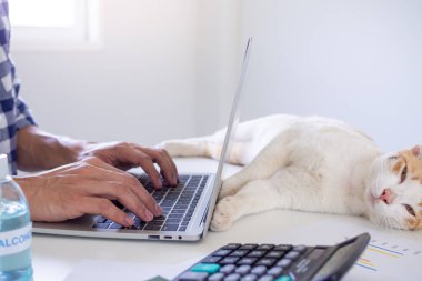 Evde oturup dizüstü bilgisayarla internete bağlanan bir iş adamı. Şirket politikalarına uymak için video konferans ekibiyle çalışıyorum. Yayılmayı azaltıyorum.