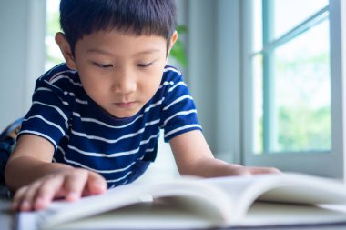 Küçük çocuk ev bölgesinde bir kitap okuyor. Evde öğreniyorum.