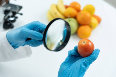 Bilimadamları, laboratuvardaki meyve ve sebze artıkları üzerindeki kimyasal maddelerin fiziksel etkilerini kontrol etmek için büyüteç kullanıyorlar. Kimyasal kalıntıların konsantrasyonunu inceleyin, standart, yasaklanmış maddeleri bulun