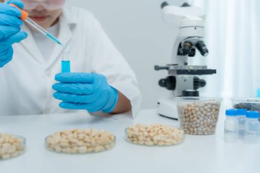 Scientist check chemical food residues in laboratory. Control experts inspect quality of fruits, vegetables. lab, hazards, ROHs, find prohibited substances, contaminate, Microscope, Microbiologist