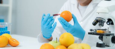 Bilimadamı laboratuvardaki kimyasal gıda kalıntılarını kontrol ediyor. Denetim uzmanları meyvelerin kalitesini incelerler, bilim adamları deneyler, tehlikeler, yasaklanmış maddeler ve kirlilik için elmalara kimyasal madde enjekte ederler.