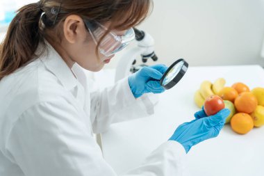 Scientist check chemical food residues in laboratory. Control experts inspect quality of fruits, vegetables. lab, hazards, ROHs, find prohibited substances, contaminate, Microscope, Microbiologist