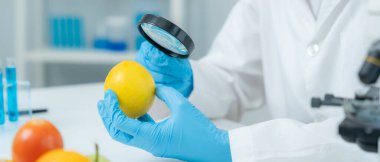 Bilimadamları, laboratuvardaki meyve ve sebze artıkları üzerindeki kimyasal maddelerin fiziksel etkilerini kontrol etmek için büyüteç kullanıyorlar. Kimyasal kalıntıların konsantrasyonunu inceleyin, standart, yasaklanmış maddeleri bulun