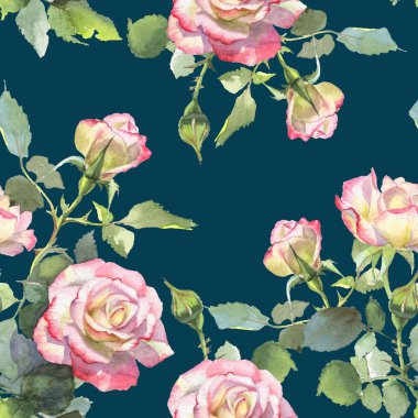 Pembe ve beyaz güller