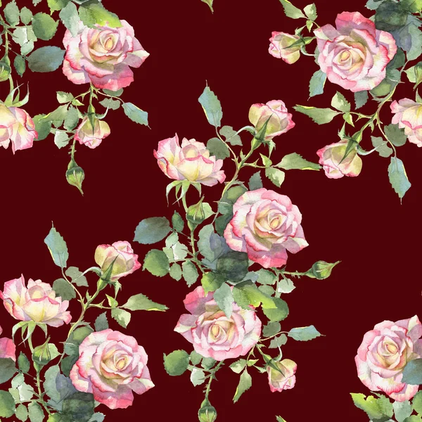 Рожеві та білі троянди — стокове фото