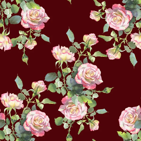 Pink and white roses