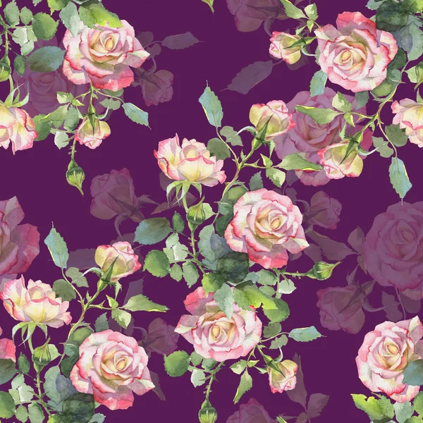 Рожеві та білі троянди — стокове фото