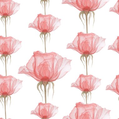 Kusursuz şeffaf çiçekler