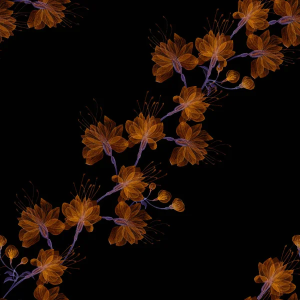 Flores transparentes sin costura —  Fotos de Stock