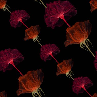 Kusursuz şeffaf çiçekler