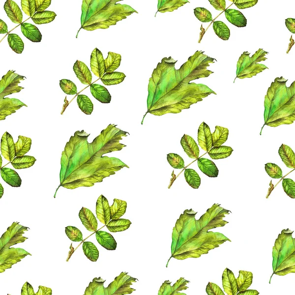 Mão pintado aquarela folhas verdes — Fotografia de Stock