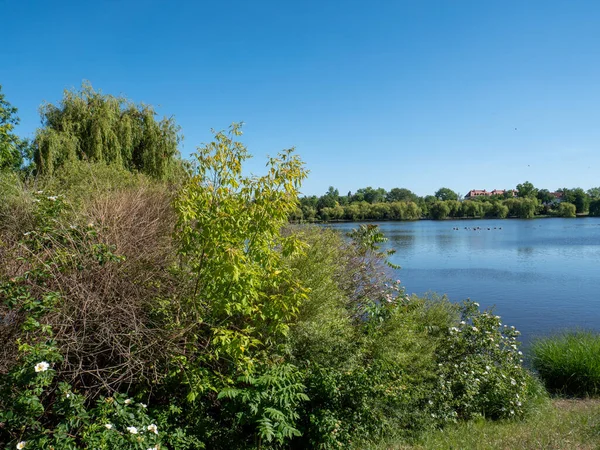 Staden Merseburg Gotthardtteich Centrum — Stockfoto