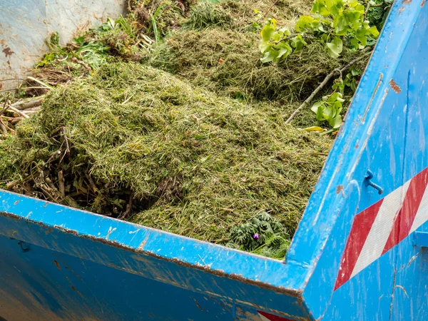 Wycinki Trawników Zielonym Pojemniku Odpady — Zdjęcie stockowe