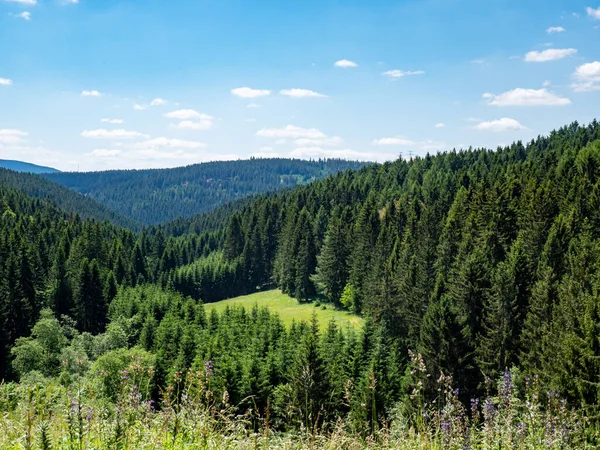 Vista Sobre Bosque Turingia Alemania —  Fotos de Stock