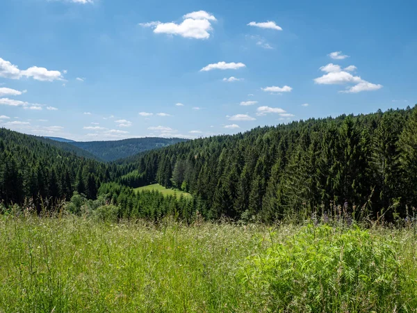 Utsikt Över Thüringen Forest Mountains Lokala Rekreationsområde — Stockfoto