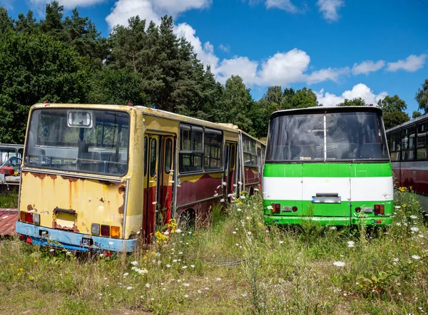 Старе Автобусне Кладовище Припаркованими Автобусами — стокове фото