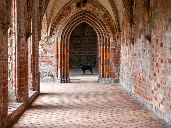 Eingang Zur Alten Abtei Chopin Deutschland — Stockfoto