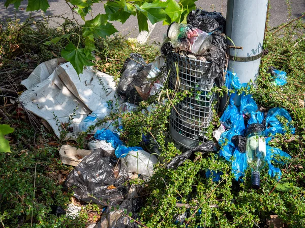 garbage in the forest with rubbish bin