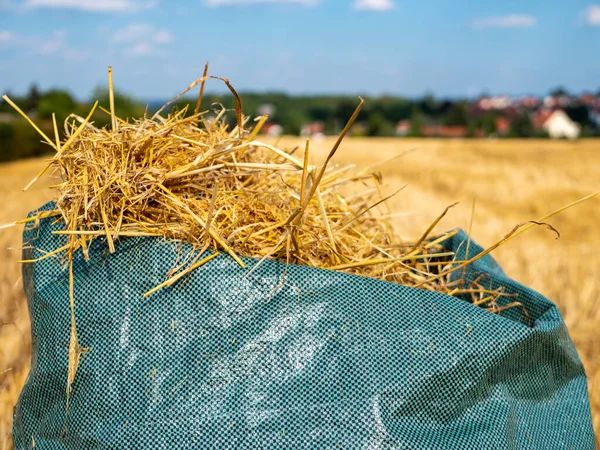 Veld Van Tarwestro Oogst — Stockfoto