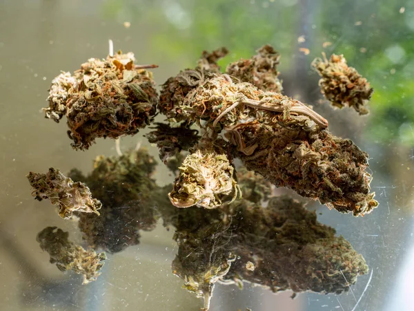 大麻マリファナ麻薬の背景 — ストック写真