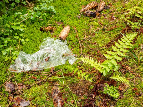 Plastik Müllsack Wald — Stockfoto